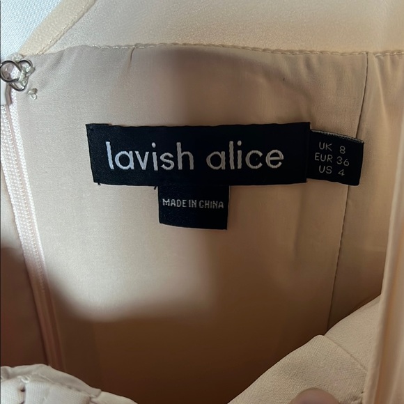 Lavish Allice Peach Cream Chiffon Bodycon Puff Sheer Sleeve Mini Dress Size 4 - Picture 3 of 15